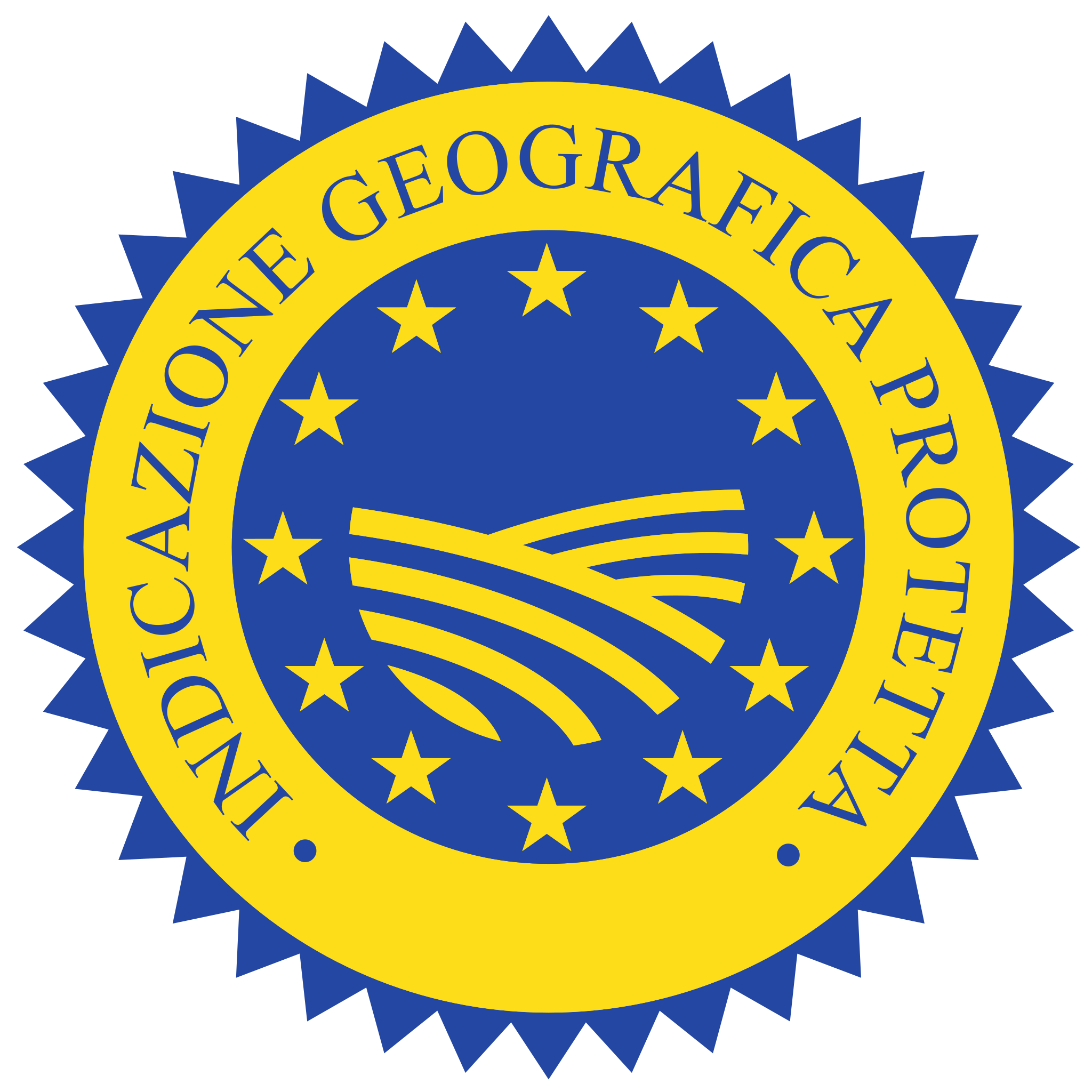 Logo IGP